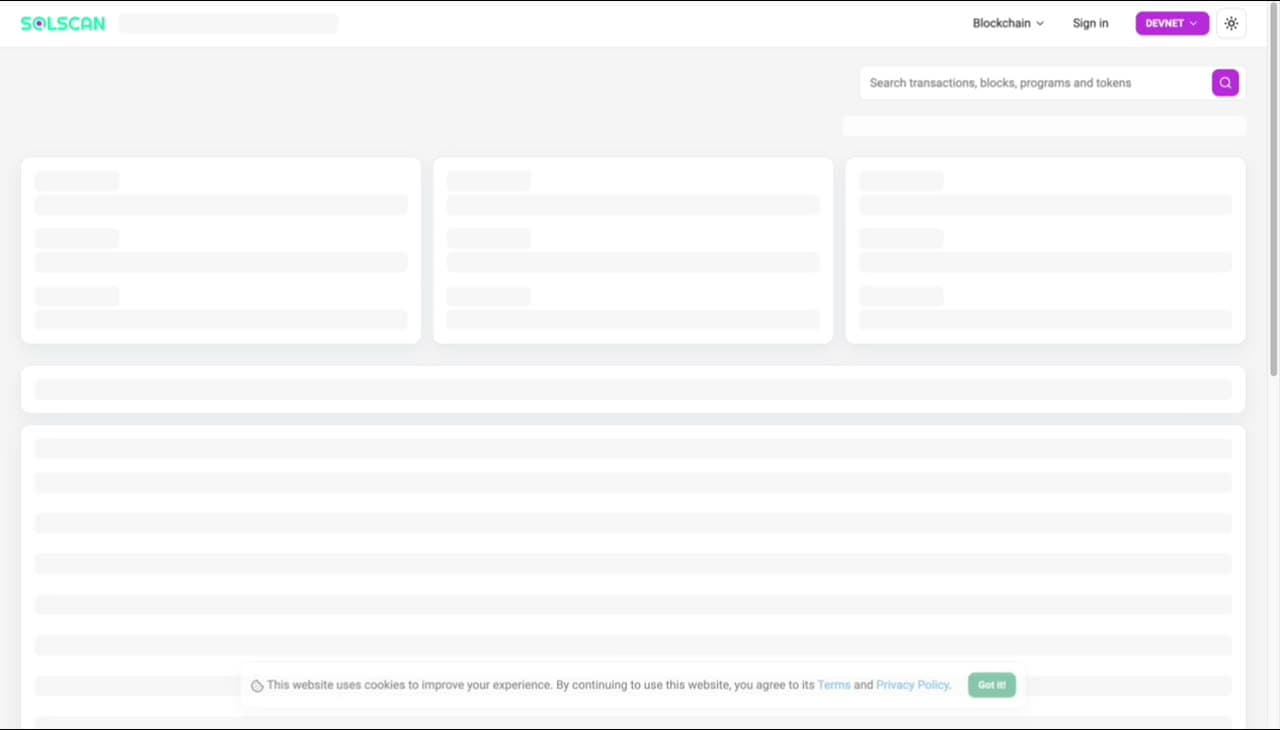 Solscan blockchain explorer (Devnet) loading the transaction details