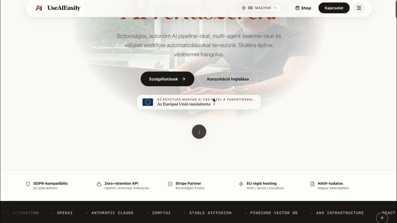 Use AI Easily · AI consulting and security firm